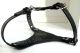 Lockable Spiked Panties - made of real leather